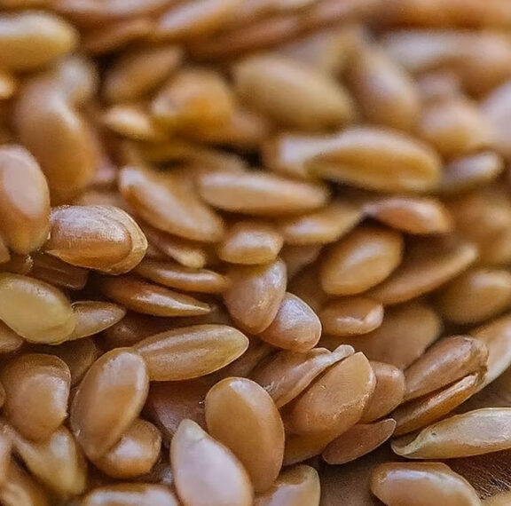 Flax seeds, often referred to as linseeds, are tiny nutritional powerhouses gaining immense popularity in the health and wellness world.