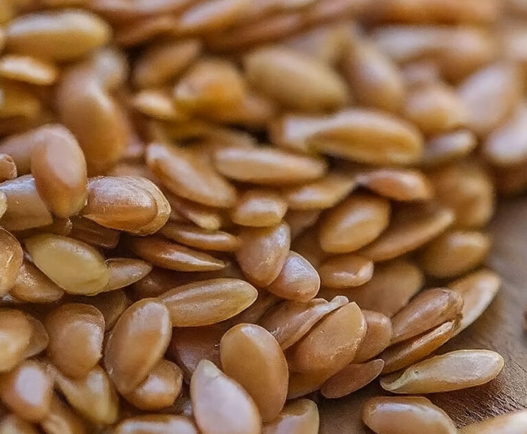 Flax seeds, often referred to as linseeds, are tiny nutritional powerhouses gaining immense popularity in the health and wellness world.