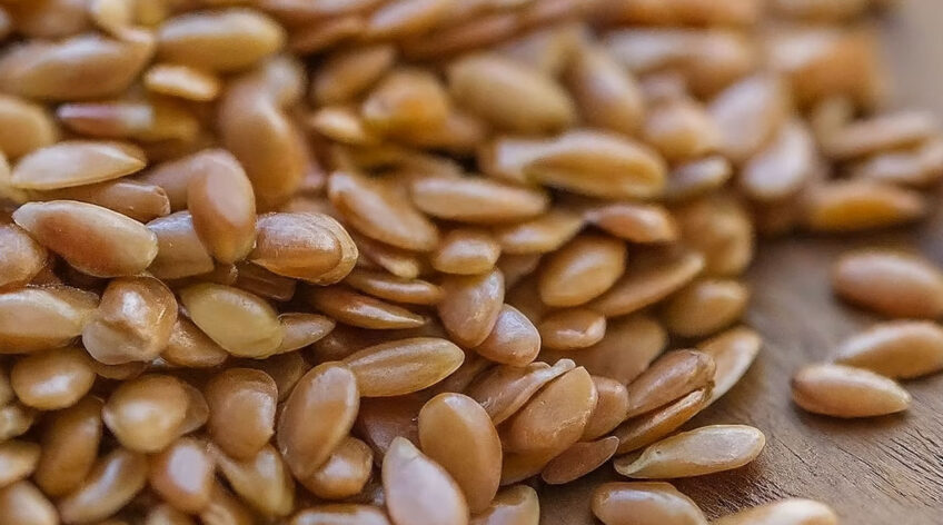 Flax seeds, often referred to as linseeds, are tiny nutritional powerhouses gaining immense popularity in the health and wellness world.