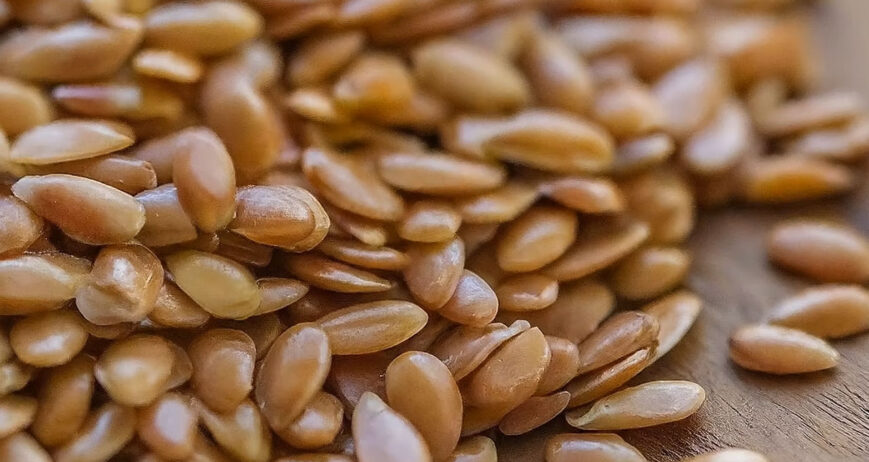 Flax seeds, often referred to as linseeds, are tiny nutritional powerhouses gaining immense popularity in the health and wellness world.