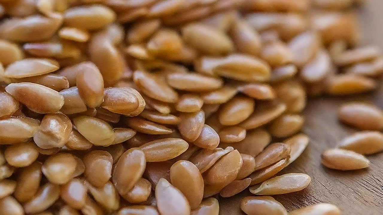 Flax seeds, often referred to as linseeds, are tiny nutritional powerhouses gaining immense popularity in the health and wellness world.